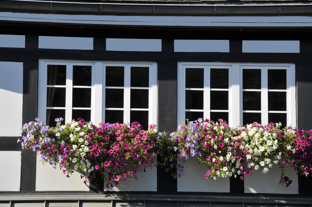 Landidyll Hotel Haus Hochstein Eslohe Bagian luar foto